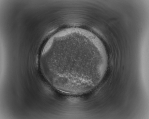 X0000083980494200703091827