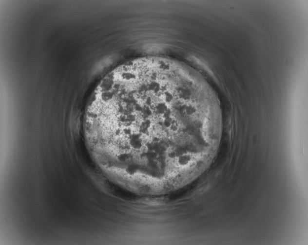 X0000083980495200703091827