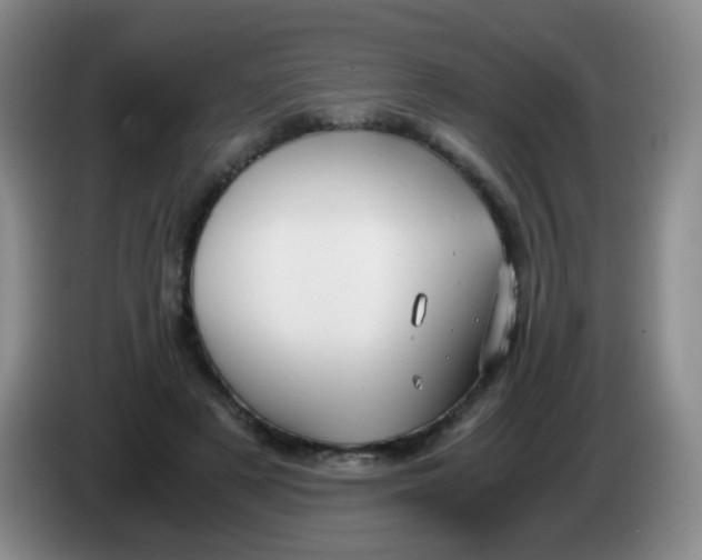 X0000083980497200703091827