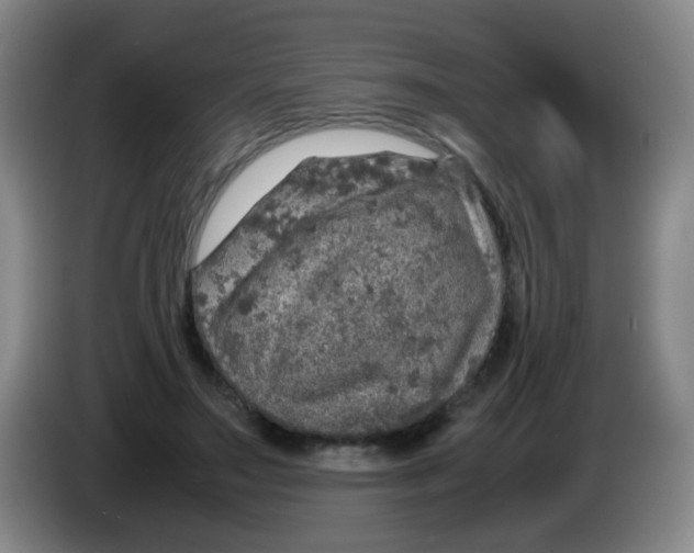 X0000083980499200703091827