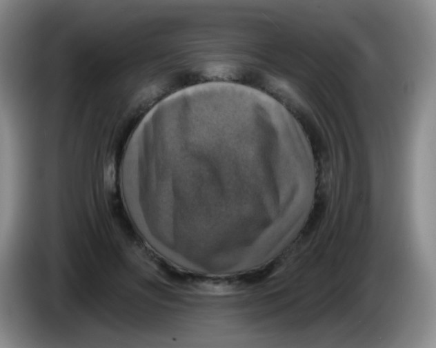 X0000083980502200703091827