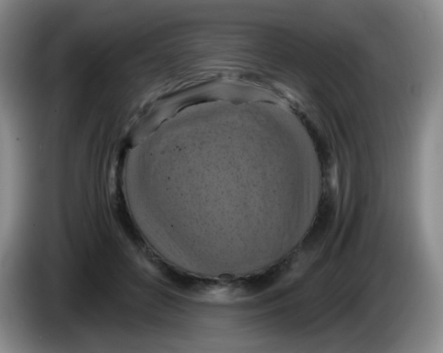 X0000083980504200703091827