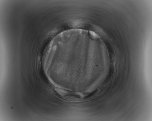 X0000083980506200703091827