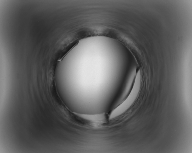 X0000083980509200703091827