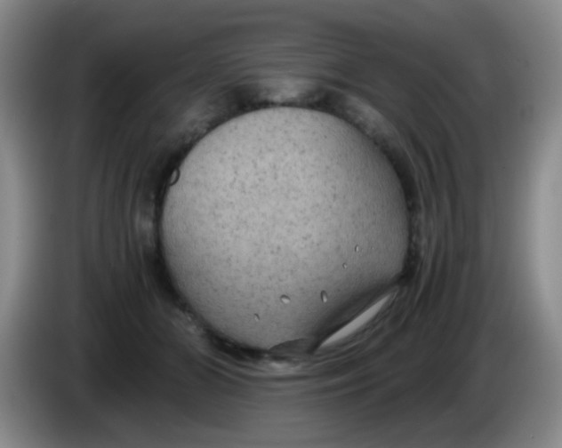 X0000083980510200703091827