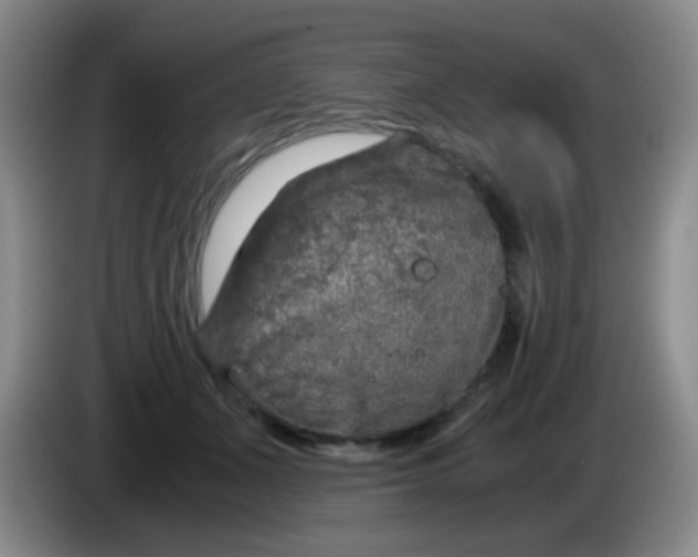 X0000083980511200703091827