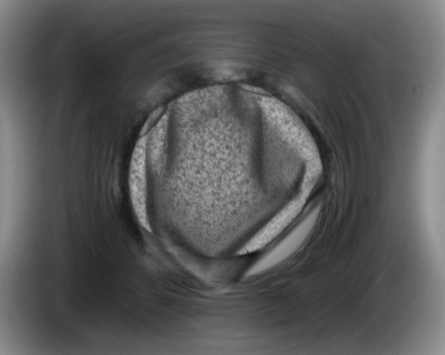 X0000083980512200703091827