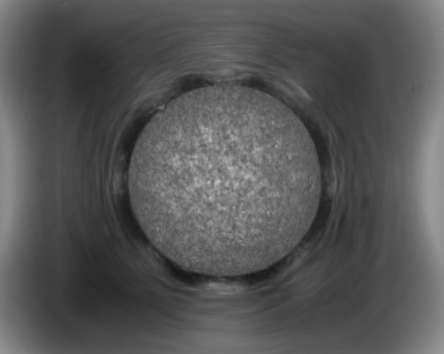 X0000083980515200703091827