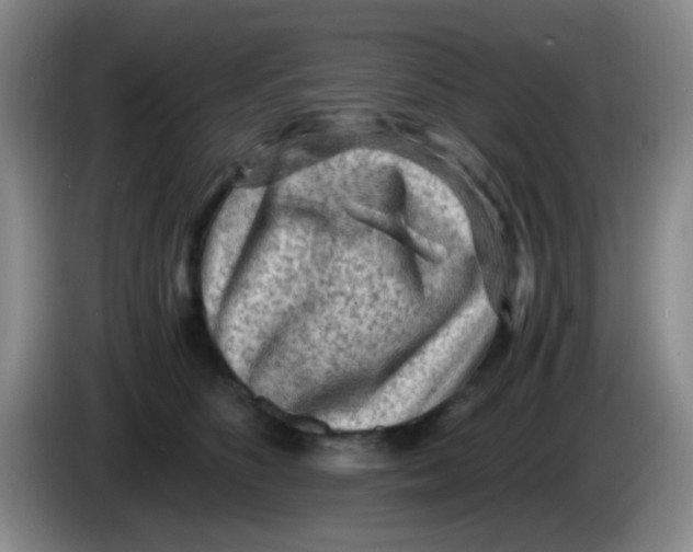 X0000083980516200703091827