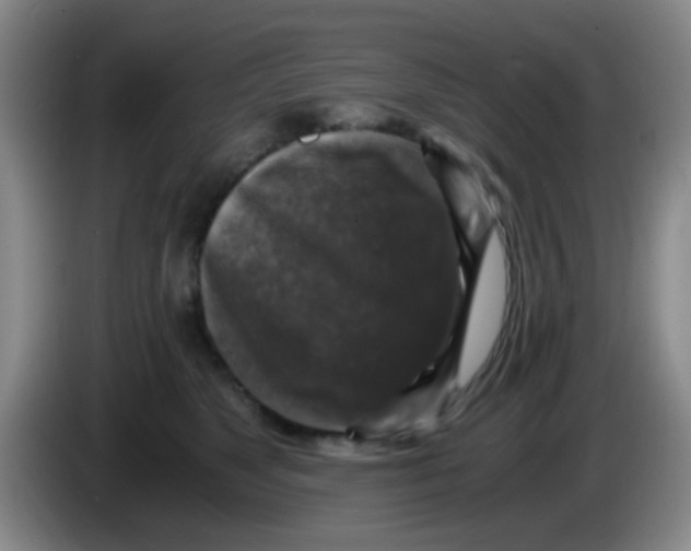 X0000083980517200703091827