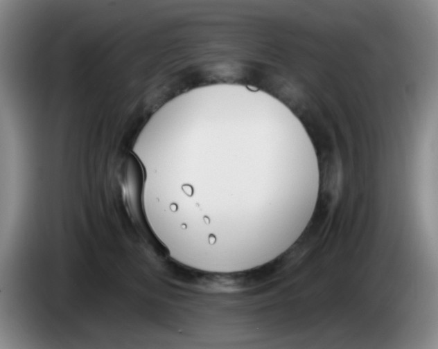 X0000083980518200703091827