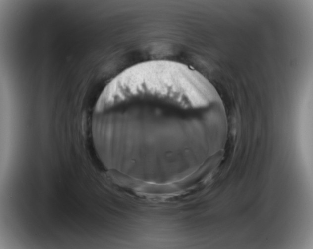 X0000083980519200703091827