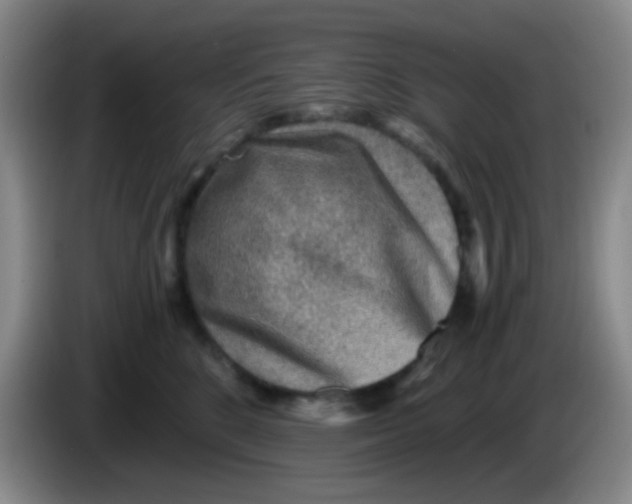 X0000083980520200703091827