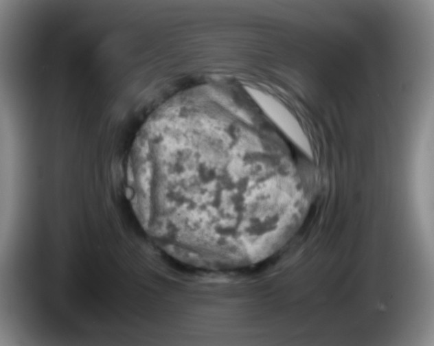 X0000083980523200703091827