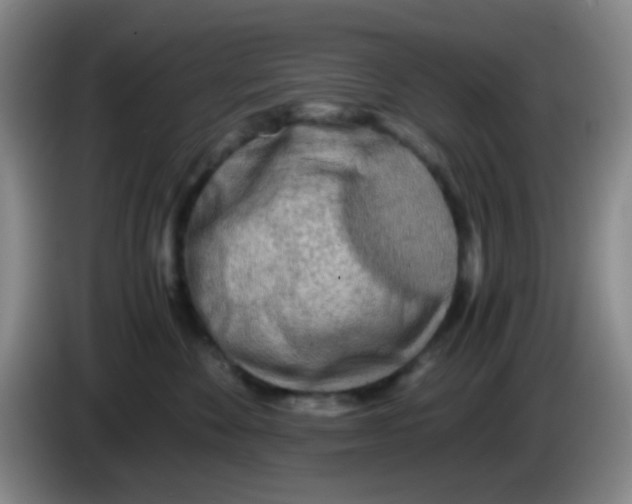 X0000083980524200703091827