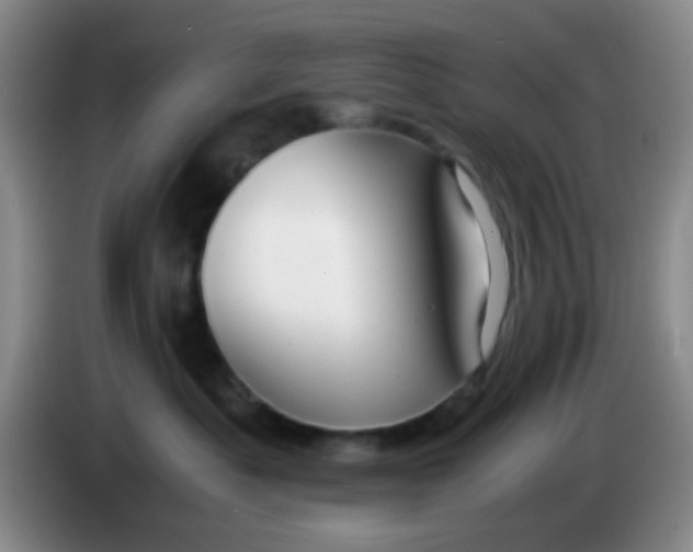 X0000083980525200703091827