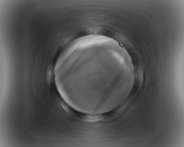 X0000083980526200703091827