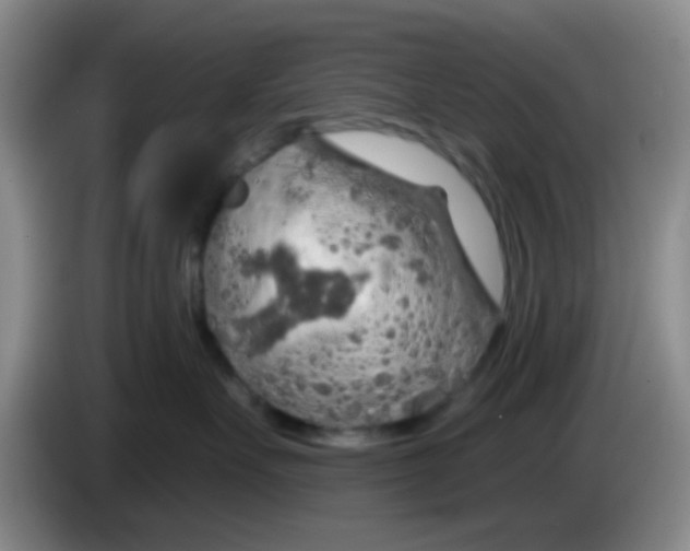 X0000083980527200703091827