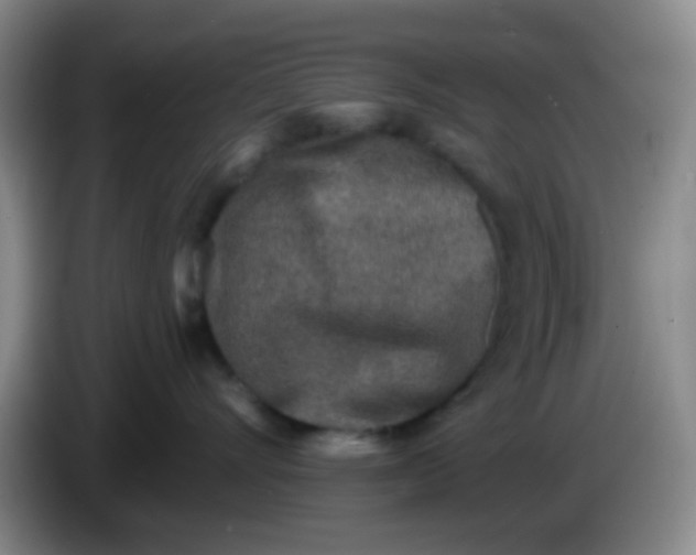 X0000083980528200703091826