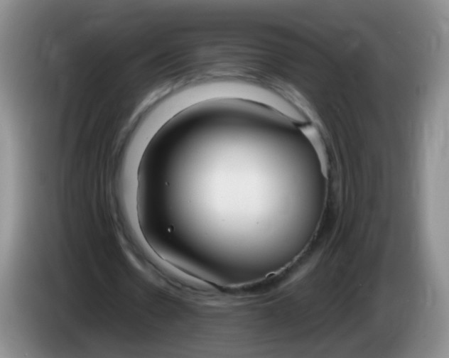 X0000083980530200703091826