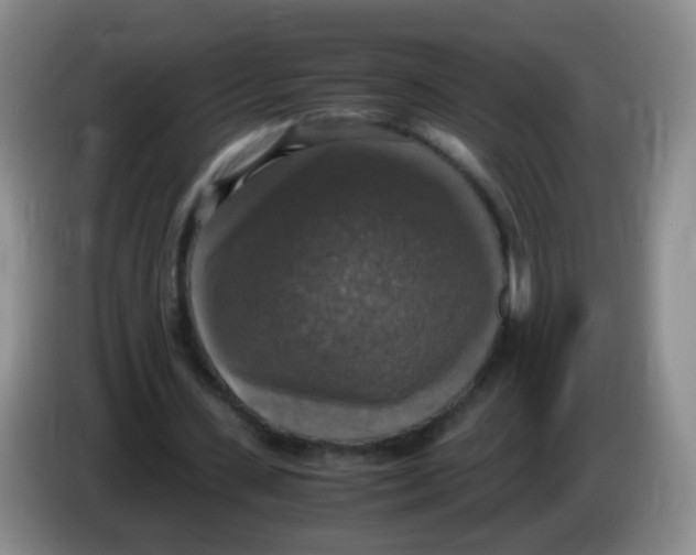 X0000083980531200703091826