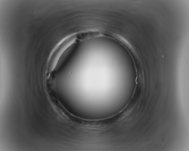 X0000083980532200703091826