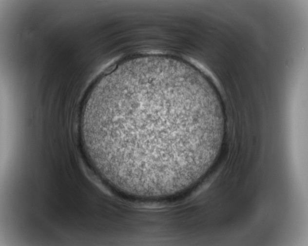 X0000083980533200703091826