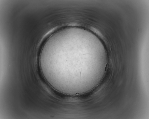 X0000083980535200703091826