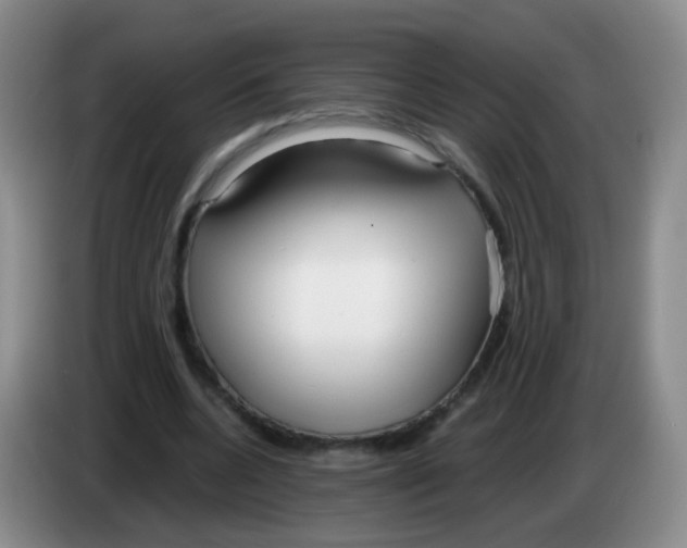 X0000083980536200703091826