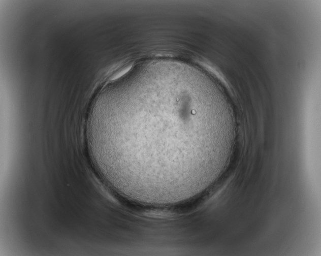 X0000083980537200703091826