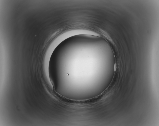 X0000083980538200703091826