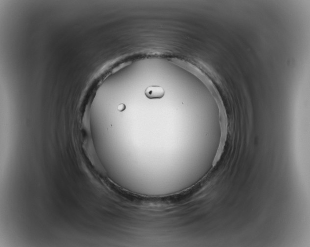 X0000083980540200703091826