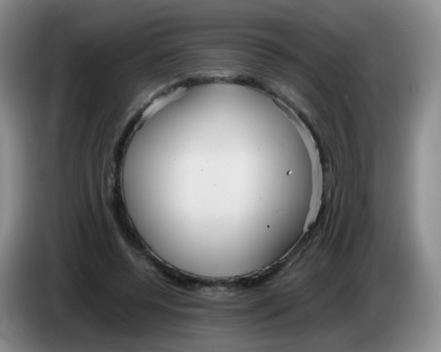 X0000083980544200703091826