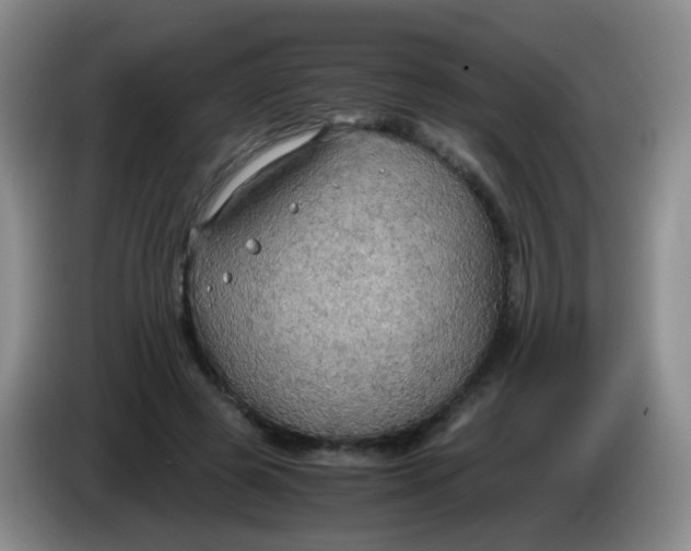 X0000083980545200703091826