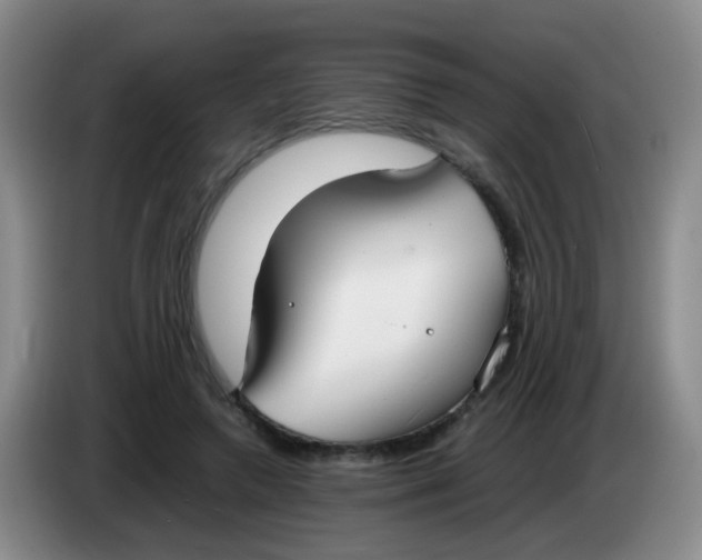 X0000083980546200703091826