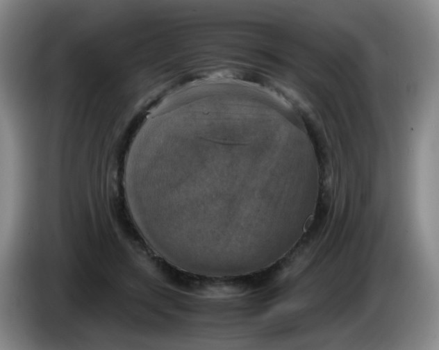 X0000083980547200703091826