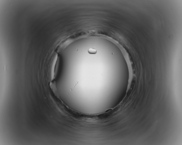 X0000083980548200703091826