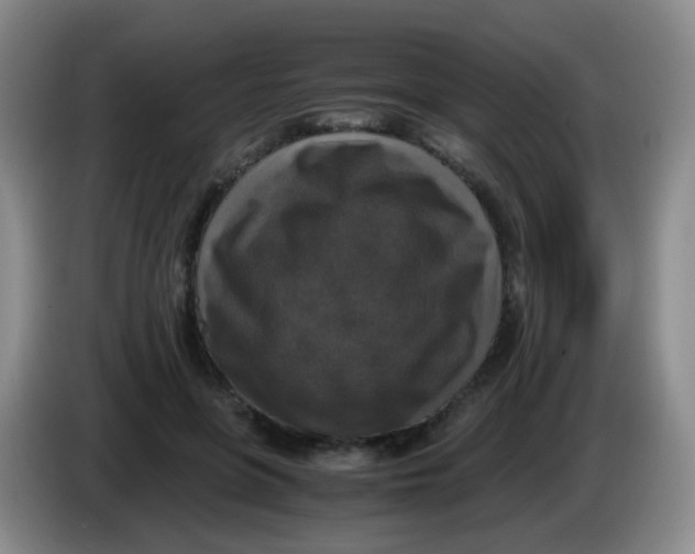 X0000083980551200703091826