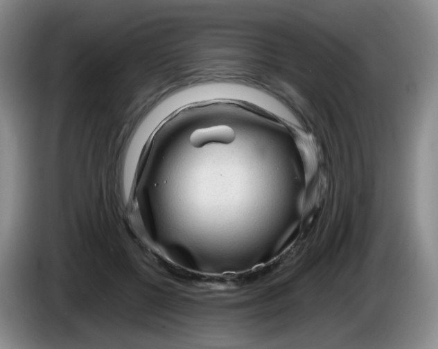 X0000083980552200703091826