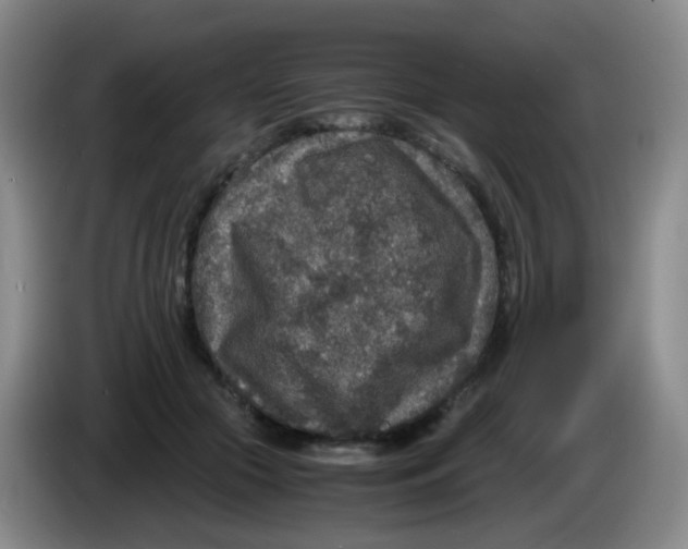 X0000083980553200703091826