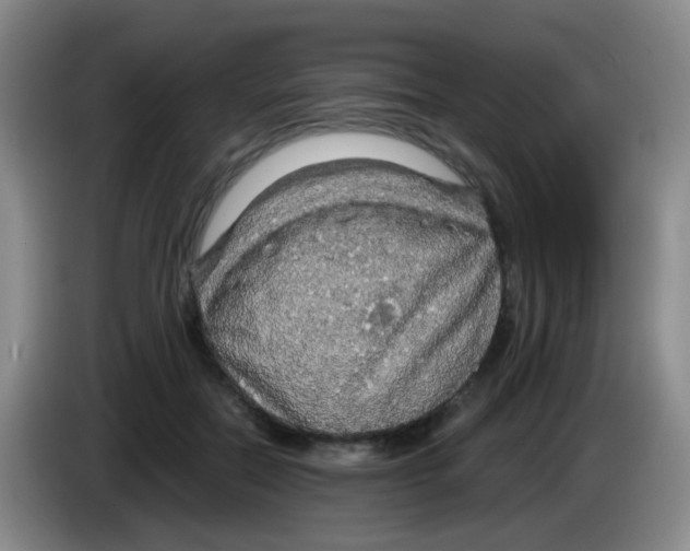 X0000083980554200703091826