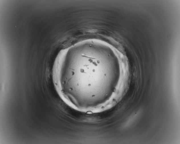 X0000083980555200703091826