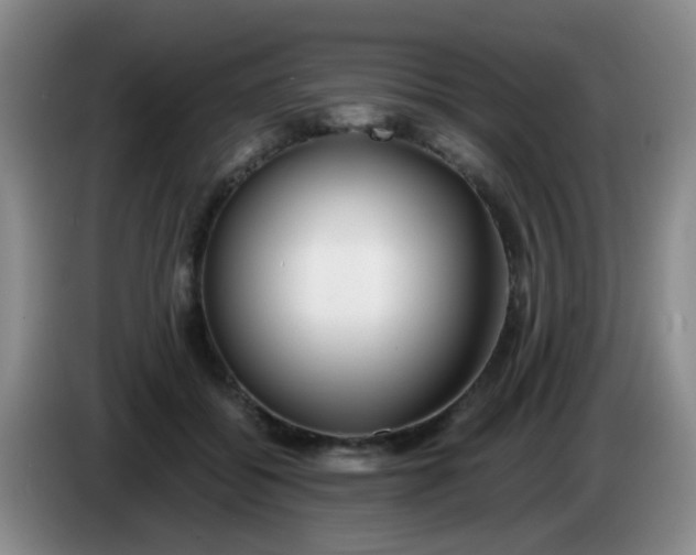 X0000083980556200703091826