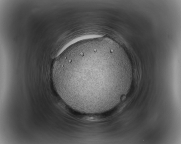 X0000083980557200703091826