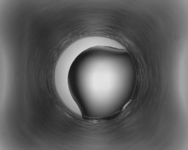 X0000083980558200703091826