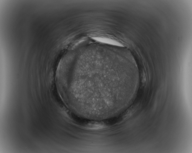 X0000083980559200703091826