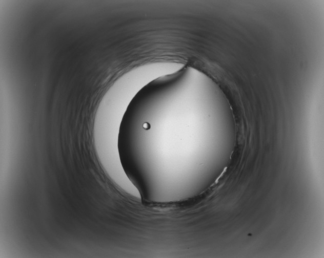 X0000083980560200703091826