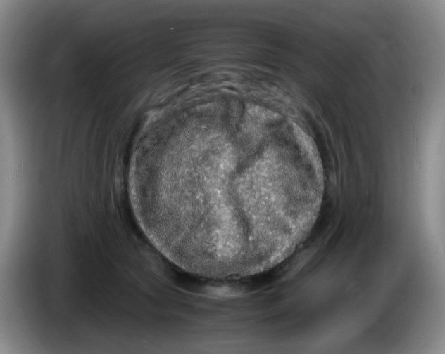 X0000083980561200703091826