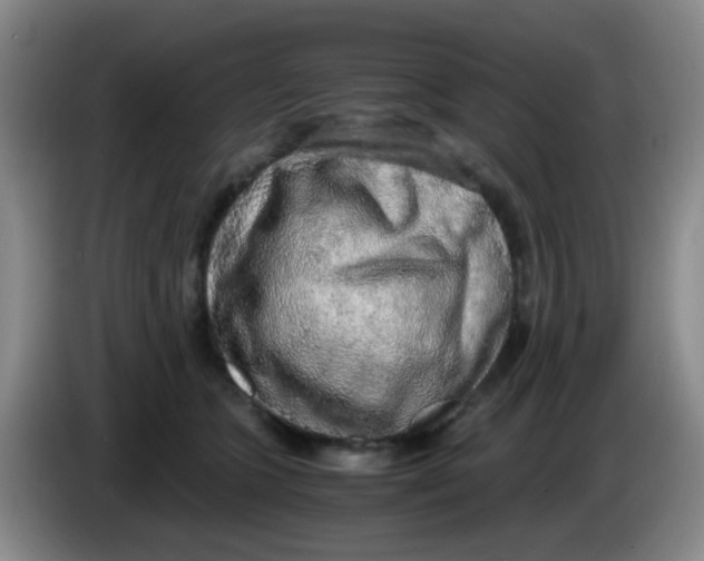 X0000083980563200703091826