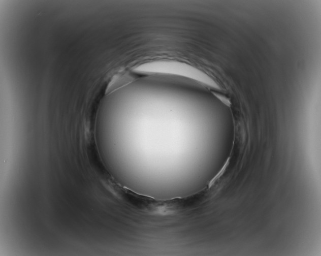 X0000083980564200703091826